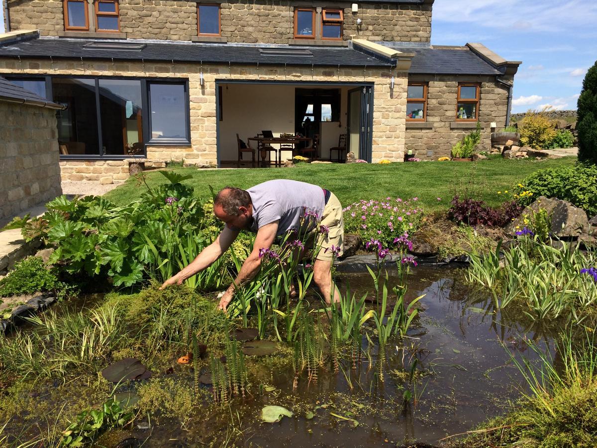 East Wayside B&B Harrogate Eksteriør billede